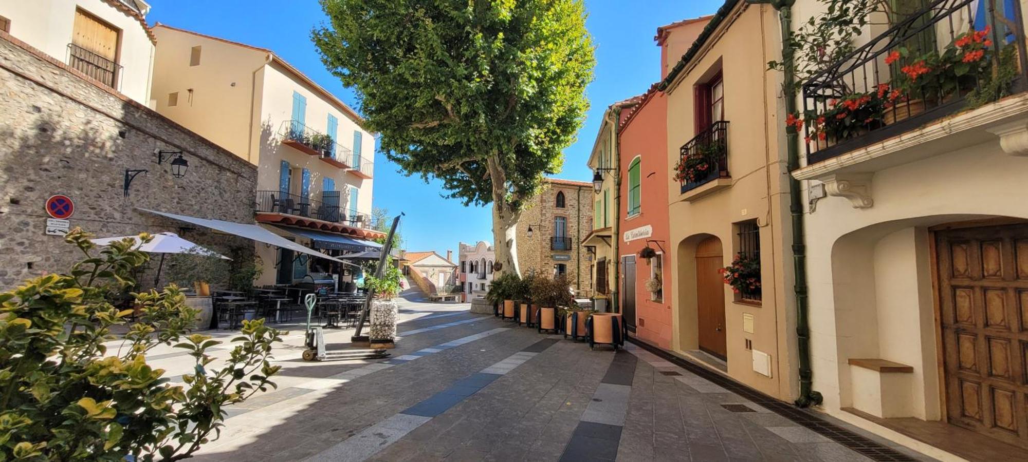 Laroque-des-Albères Chambre Climatisee Entre Mer Et Montagne, Avec Sdb Et Wc Privatifs מראה חיצוני תמונה